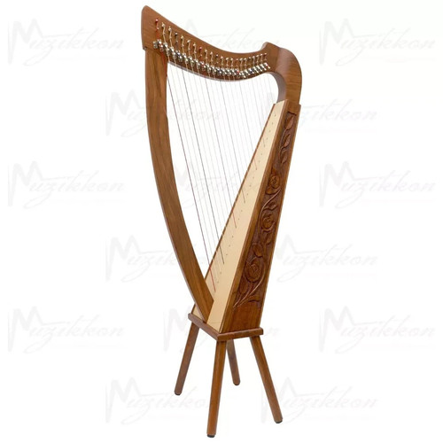 Arpa archi musical folk - musical,