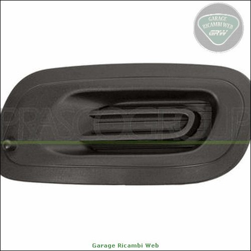 Ft1242124 griglia paraurti - griglia,