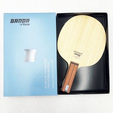 Racchetta da ping pong usata