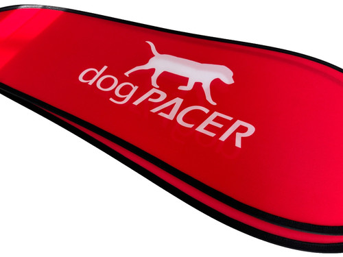 Dogpacer tapis roulant - tapis,