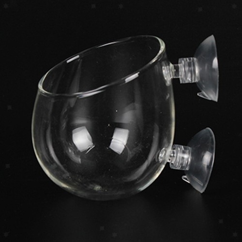 Mini tazza per piante - , da