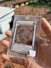 Drago rosso Maestoso Rara