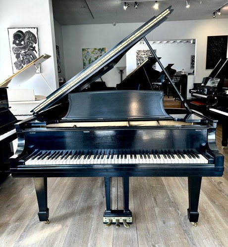 Steinway grand piano 11 - steinway,