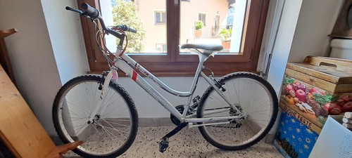 Bicicletta frejus sportbike - frejus,