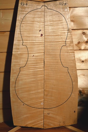 Legno per violoncello - , acero