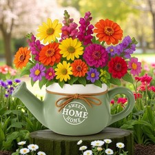 Fioriera teiera ceramica 25 cm