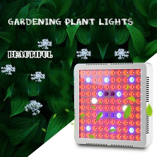 Lampada luce coltivazione