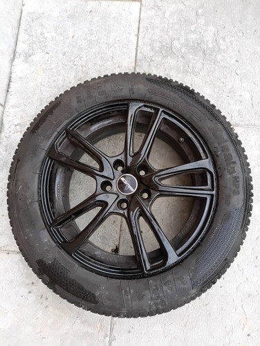 Gomme kleber krisalp - kleber,