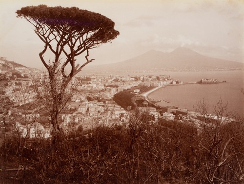 Fratelli alinari - (xix, secolo)