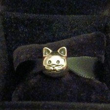 (1424) Charm Pandora Argento