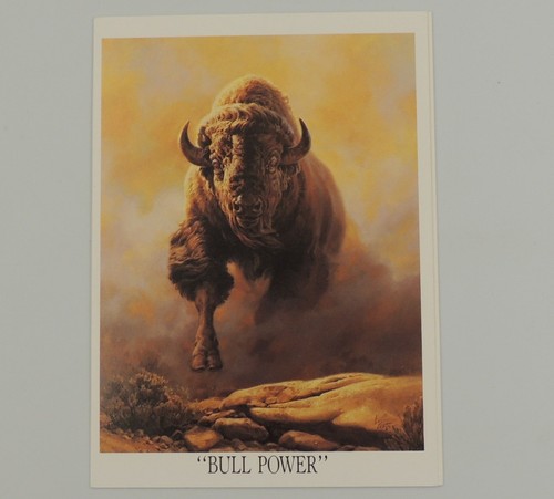 Great plains buffalo bull - great,