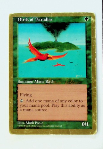 Mtg birds paradise 1 - of,