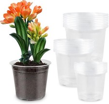 Confezione da 24 vasi