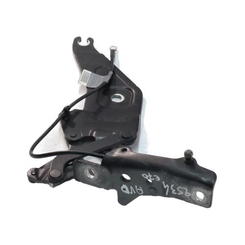 Cerniera cofano bmw - cofano, x5