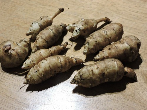 Fusibile bianco carciofo - , di