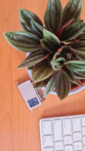 Ssd macbook pro - ssd, 2016
