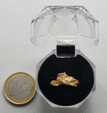 Pepita d'oro australia