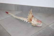 How to train your dragon