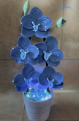 Orchidea uncinetto - orchidea,