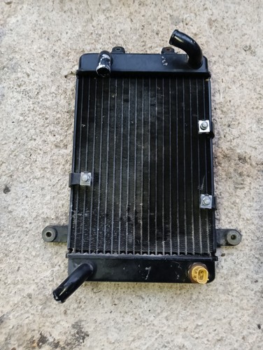 Radiatore acqua suzuki burgman - radiatore,