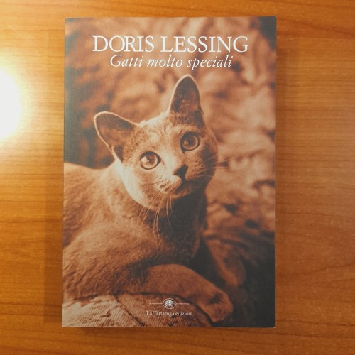 Gatti molto speciali doris - molto,