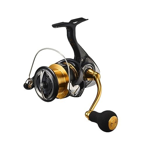 Mulinello spinning daiwa - spinning,