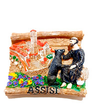 MAGNETE CALAMITA RESINA FRIGO