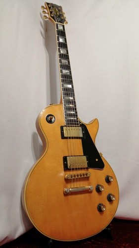 Chitarra elettrica modello
