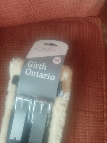 Qhp dressage ontario - qhp,
