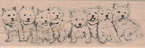 Otto westies una - in,