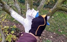 Calce idrata Liquida per