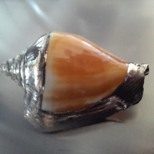 Argento conchiglia naturale - conchiglia,