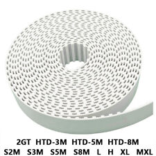 Cinghia di distribuzione