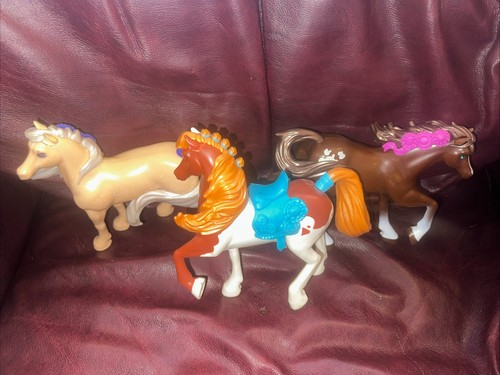 Winners stable cavalli - winners, da