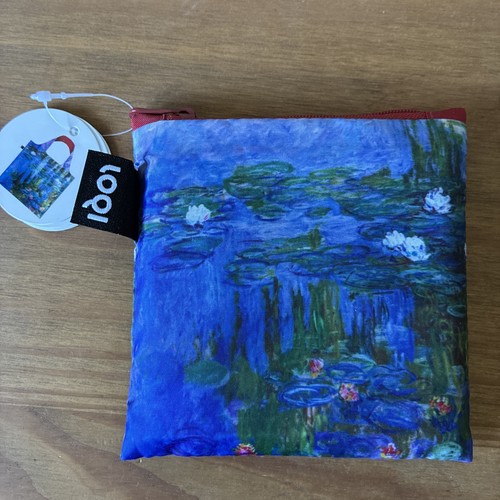 Borsa loqi riutilizzabile - borsa,