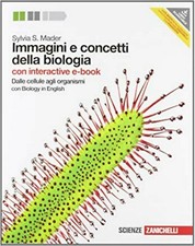 immagini e concetti della