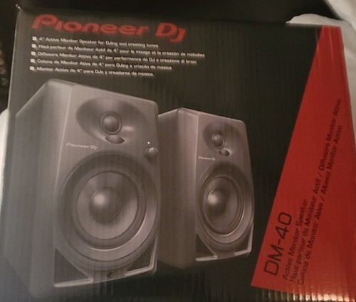 Pioneer coppia di - dm-40,