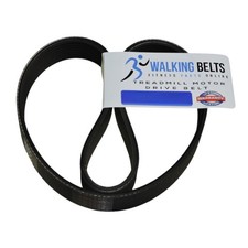 Cinghia motore tapis roulant