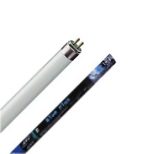 ATI Blue Plus Neon T5 New