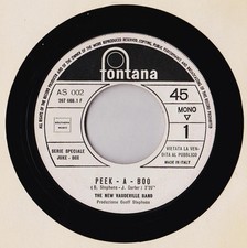 The New Vaudeville Band /