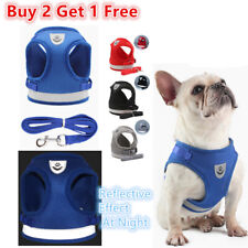 Imbracatura per Cani Chihuahua