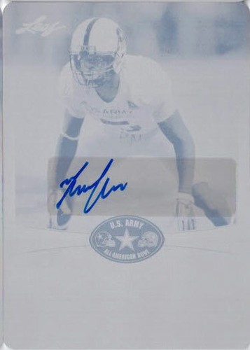 2013 tahaan goodman leaf - 2013, us