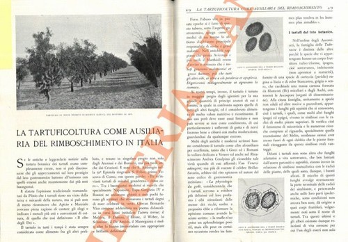 Puecher passavalli luigi la - -,