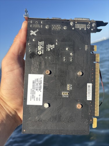Scheda grafica msi - scheda,