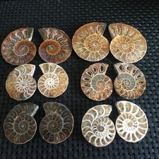 155g 6 paia piccole pietre