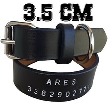 COLLARE CANE PER CANE  IN