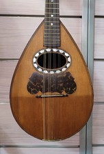 Calace mandolino 1894 - calace,