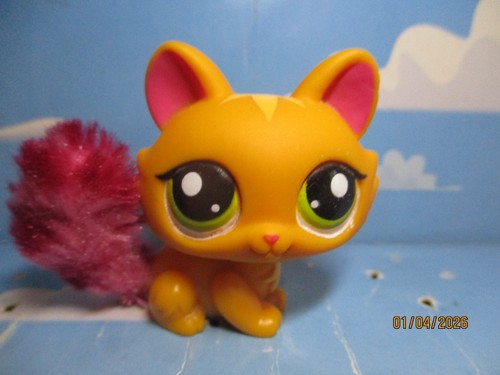 Petshop chat sphynx 2576 - chat,