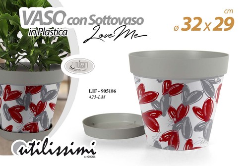 Vaso piante grasse - fiori, semi
