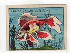 Figurina ANIMALI E FIORI